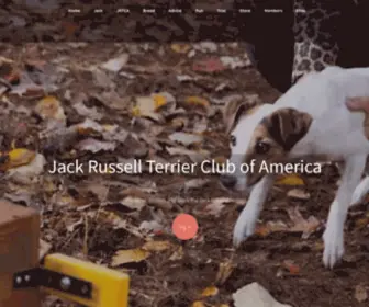 Terrier.com(The Jack Russell Terrier Club of America (JRTCA)) Screenshot