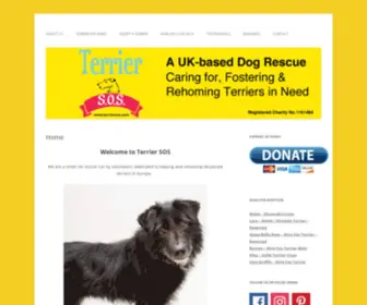 Terriersos.com(Terrier SOS) Screenshot