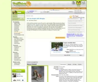 TerrificPets.com(Dogs for Sale) Screenshot