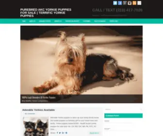 Terrificyorkiepuppies.com(PUREBRED AKC YORKIE PUPPIES FOR SALE) Screenshot