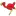 Terrorbird.com Favicon