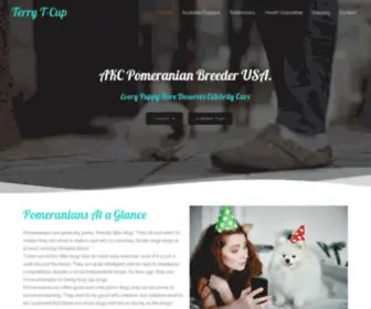 Terrytcuppompups.com(Buy your poms on discount prices now) Screenshot