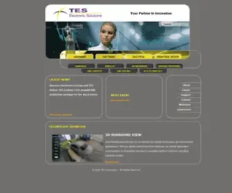 Tes-DST.com(TES Electronic Solutions) Screenshot