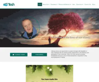 Teshinc.com(Tesh, Inc) Screenshot