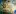 Teshinpe.com Favicon