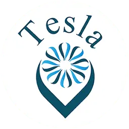 Tesla-EHH.com Favicon