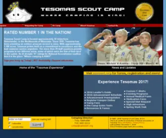 Tesomas.com(Tesomas) Screenshot