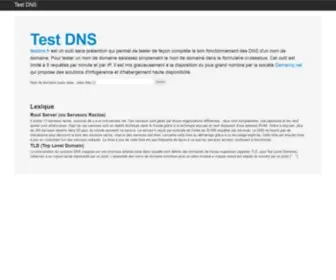 Testdns.fr(Test DNS) Screenshot