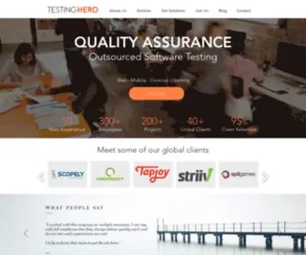 Testinghero.com(Testing Hero) Screenshot