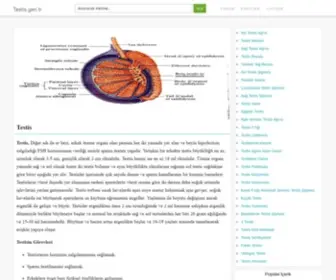 Testis.gen.tr(Alan adı duraklatılmış) Screenshot