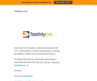 Testmycss.com(TestMyCss) Screenshot