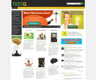 Testq.com(The best career quiz site) Screenshot