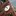 Tesufoundation.org Favicon