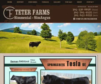 Teterfarm.com(Teter Farm) Screenshot