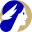Tethys.finance Favicon