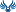 Tetiana.pro Favicon