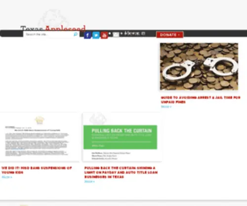 Texasappleseed.net(Texas Appleseed) Screenshot