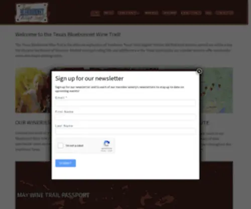 Texasbluebonnetwinetrail.com(Texas Bluebonnet Wine Trail) Screenshot