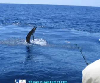 Texascharterfleet.com(Port Aransas Fishing Charters & Guides) Screenshot