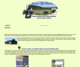 Texasdorpers.com(Dorper Sheep Meat Sheep White Dorper Lambs Full Blood Dorper Ewes Ozona Texas) Screenshot