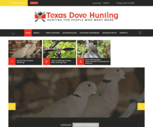 Texasdovehunting.org(Texas Dove Hunting) Screenshot