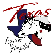 Texasequinehospital.com Favicon