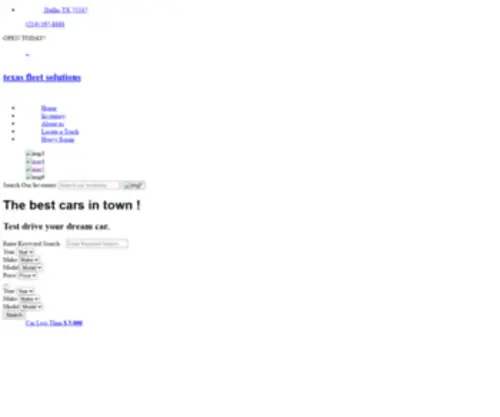 Texasfleetsolutions.com(Texas fleet solutions) Screenshot