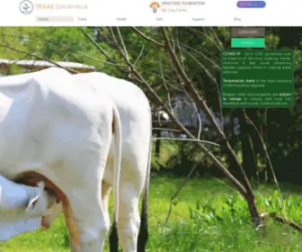 Texasgaushala.com(Texas Gaushala) Screenshot