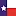 Texasortho.org Favicon