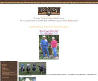 Texaspaints.com(Paint Horses For sale) Screenshot
