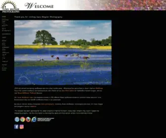 Texaswildflowerpictures.com(Texas Wildflowers) Screenshot