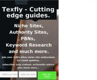 Texfly.com(Free Extensive Authority Site and Niche Site Guides) Screenshot