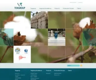 Texgroup.com.pe(Texgroup) Screenshot