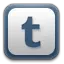 Teza.md Favicon