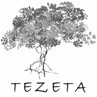 Tezeta.it Favicon