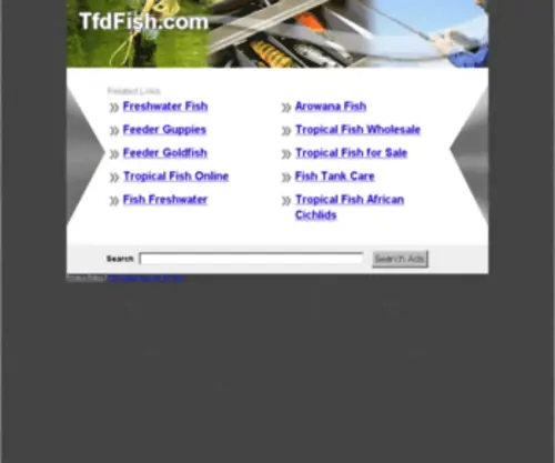 TFdfish.com(TFdfish) Screenshot