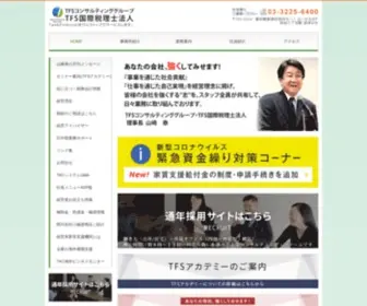 TFsnavi.jp(TFSコンサルティンググループ) Screenshot