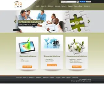 TGsworld.com(TGS Solutions) Screenshot