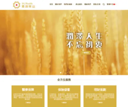 Tgwealth.com.cn(潤初財富) Screenshot