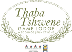 Thabatshwene.co.za Favicon