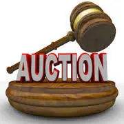 Thadwoodsauction.com Favicon