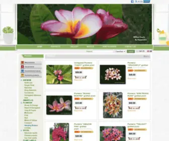 Thai-Plumeria.com(Thai Plumeria) Screenshot