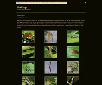 Thaibugs.com(All about Thailand's insects) Screenshot