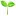 Thaiseeds.com Favicon