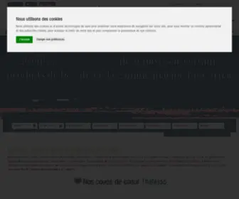 Thalasso-Carnac.com(Carnac) Screenshot
