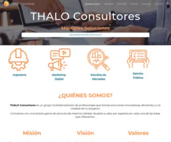 Thaloconsultores.com(THALO Consultores) Screenshot