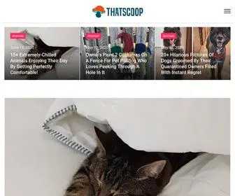 Thatscoop.com(TieLabs) Screenshot