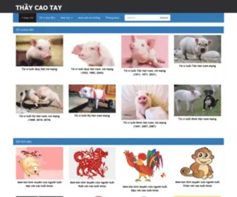 Thaycaotay.com Screenshot