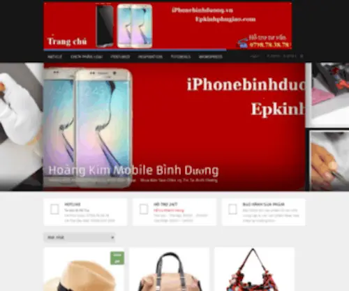 Thaykinhbinhduong.com(Thaykinhbinhduong) Screenshot
