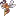 The3Dprinterbee.com Favicon